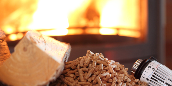 Energie bois Noizet-Warin